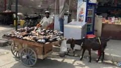 taliban