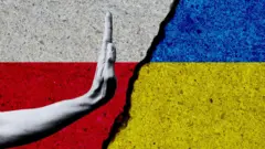 Колаж - Чи справді поляки розлюбили