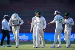 Cricket