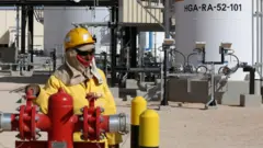 ရေနံစိမ်း စျေးနှုန်းမြင့်တက်