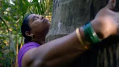 જંગલ