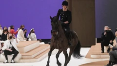 Horse Fashion