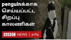 பென்குயின்