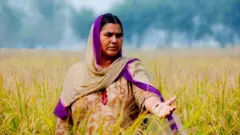 ਐੱਮਐੱਸਪੀ