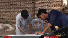 ماشومان