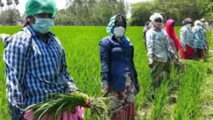 விவசாயிகள்