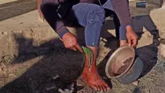 जडीबुटी