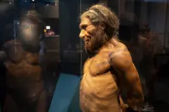 Descobertas feitas nos últimos 5 anos vêm alterando visão sobre 'homens das cavernas'; existem, por exemplo, mais espécies humanas do que imaginávamos.