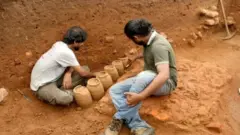 அகழாய்வு