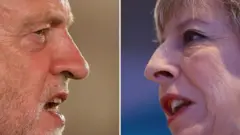 می و کوربین