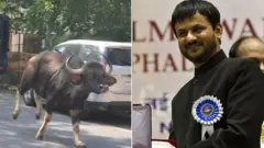 गिरीश कुलकर्णी