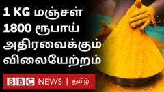 இலங்கை மஞ்சள்