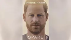 الأمير هاري