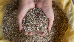 Fertilizante NPK nas mãos de um agricultor