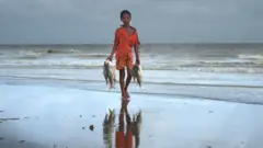 ইলিশ