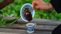 Čitanje sudbine iz taloga od kafe bio je način da se razmenjuju vesti i tračevi u Turskoj