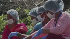 உணவுப் பொருட்களைப் பதப்படுத்தும் தொழிலில் சம்பாதிக்கும் பெண்கள்