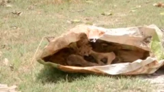बोरियों में रके नर कंकाल