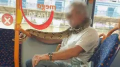змія, транспорт