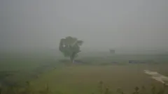 প্রচণ্ড ঠাণ্ডার সঙ্গে অনেক এলাকায় বয়ে যাচ্ছে কনকনে হাওয়া