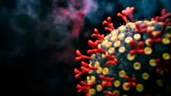 ਓਮੀਕਰੋਨ BA.2