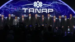 TANAP
