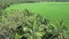 కోనసీమ