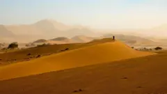 دنیا کے سب سے قدیمی ریگستان