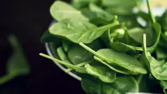 கீரையில் புதுமை காட்டும் கோவை இளைஞர் - கீரைக்கடை
