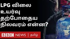 இன்று முதல் வணிக பயன்பாட்டிற்கான சமையல் எரிவாயு சிலிண்டரின் விலை நாடு முழுவதும், 19 கிலோ சிலிண்டருக்கு 250 ரூபாய் வரை உயர்த்தப்பட்டுள்ளது.