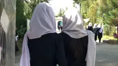 د افغانستان د پوهنې وزات مني چې په ښوونځيو کې زده کوونکي د خپلو ټولګیوالو لخوا ځورول کېږي او په ټولګیو کې زور واکي شته.