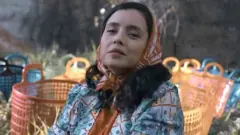 نيطع القيم