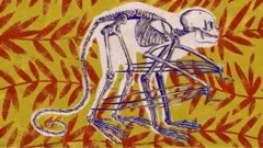 भविष्य में इंसान के रंग-रूप कितने बदल जाएंगे?