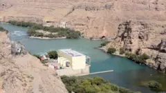 کجکي