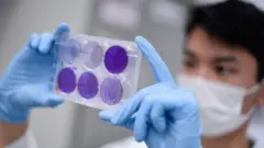 investigador vacuna