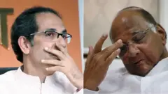 ఉద్ధవ్ ఠాక్రే, శరద్ పవార్