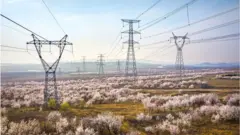 東北地區的居民用電受到影響，引起輿論反彈