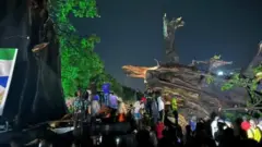 Le cotton tree après sa chute