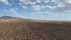 Ankara'da Polatlı'ya bağlı köylerde tarım temel geçim kaynağı.