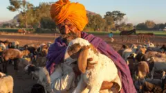 प्रातिनिधिक छायाचित्र 