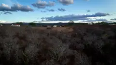 Povoado em paisagem remota do semiárido