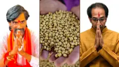 उद्धव ठाकरे आणि मनोज जरांगे पाटील 