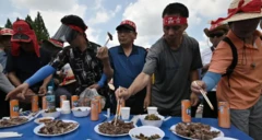 Cunista hilibka Eyda iyo dalka kuuriyada Koonfureed