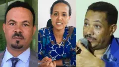 ኣይተ ኣማኑኤል ኣሰፋ፣ ወይዘሮ ሊያ ካሳን ኣይተ ኣለም ገብረዋህድን (ካብ ፀጋም ናብ የማን)
