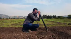 प्रातिनिधिक फोटो