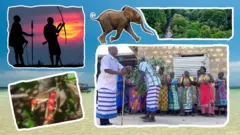 Adamoo, arba, bosona, shubbisa aadaa, firii mturi mturi