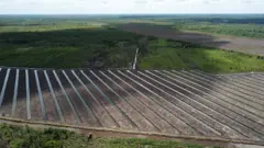 Lahan food estate beralih jadi perkebunan sawit