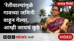  तळाशील 