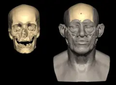 Reconstrução facial do indivíduo de Nuwayrat com base em dados de escaneamento 3D do crânio e a análise dos ossos