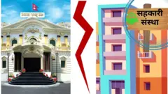 राष्ट्र ब्याङ्क र सहकारी संस्थाबीच विभाजन देखाउने चित्राङ्कन